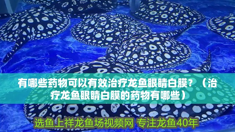 有哪些藥物可以有效治療龍魚眼睛白膜？（治療龍魚眼睛白膜的藥物有哪些）