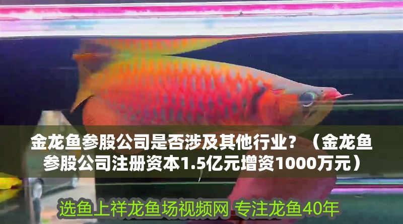 金龍魚參股公司是否涉及其他行業？（金龍魚參股公司注冊資本1.5億元增資1000萬元）