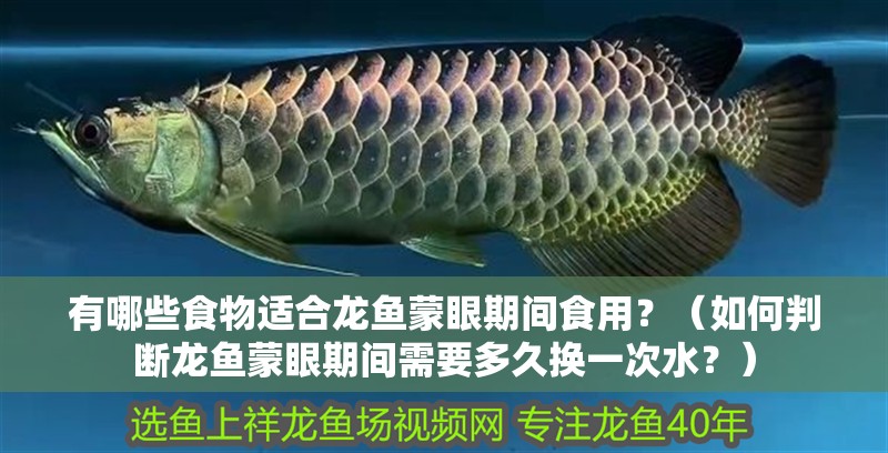 有哪些食物適合龍魚蒙眼期間食用？（如何判斷龍魚蒙眼期間需要多久換一次水？）