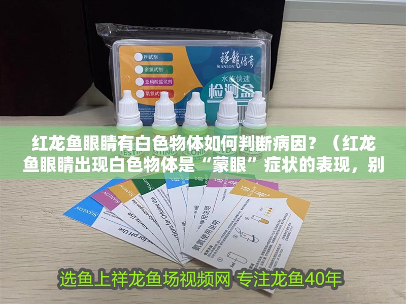 紅龍魚眼睛有白色物體如何判斷病因？（紅龍魚眼睛出現白色物體是“蒙眼”癥狀的表現，別擔心）