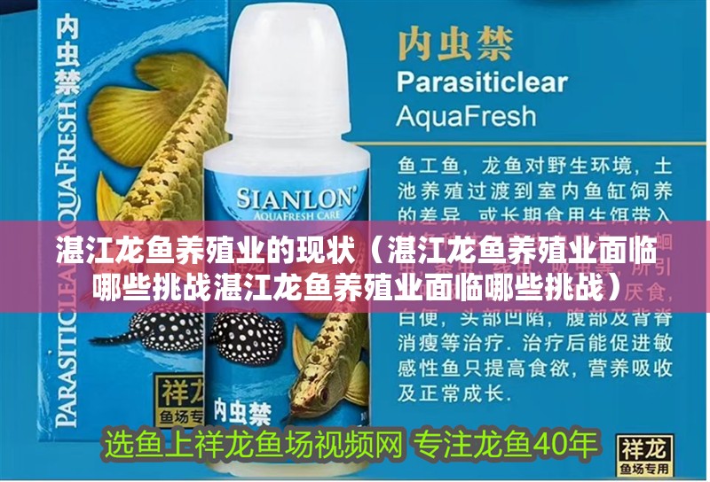 <strong><mark>湛江</mark></strong>龍魚養(yǎng)殖業(yè)的現(xiàn)狀（<strong><mark>湛江</mark></strong>龍魚養(yǎng)殖業(yè)面臨哪些挑戰(zhàn)<strong><mark>湛江</mark></strong>龍魚養(yǎng)殖業(yè)面臨哪些挑戰(zhàn)）