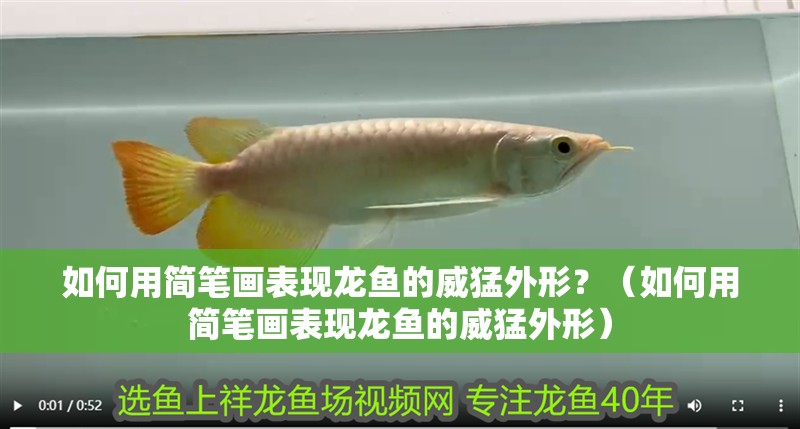 如何用簡筆畫表現龍魚的威猛外形？（如何用簡筆畫表現龍魚的威猛外形）