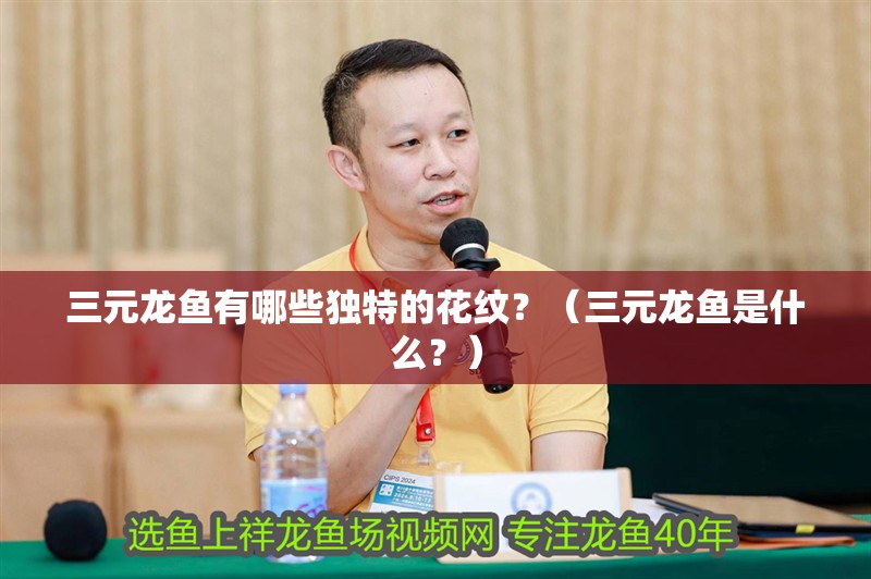 三元龍魚有哪些獨特的花紋？（三元龍魚是什么？）
