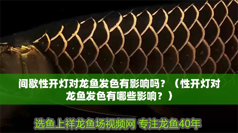 間歇性開(kāi)燈對(duì)龍魚(yú)發(fā)色有影響嗎？（性開(kāi)燈對(duì)龍魚(yú)發(fā)色有哪些影響？）