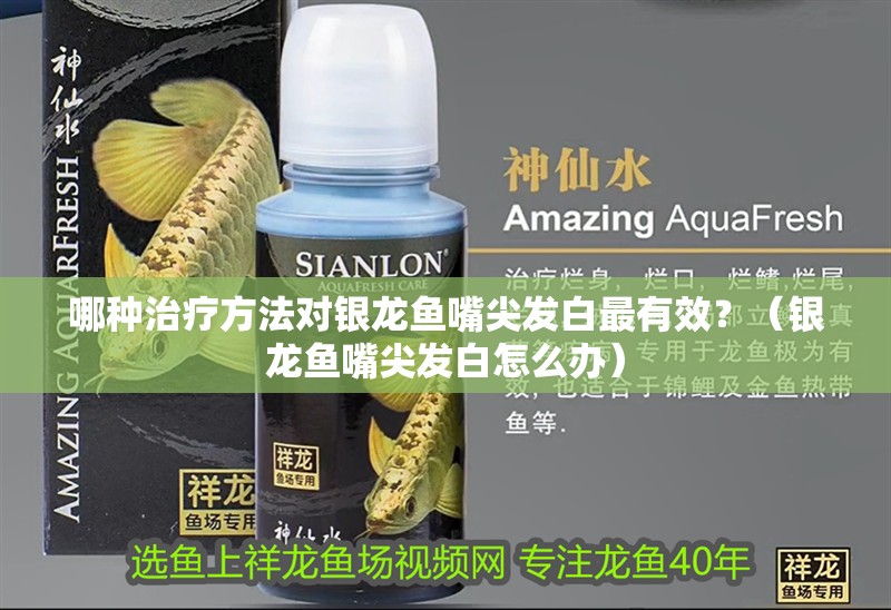 哪種治療方法對銀龍魚嘴尖發(fā)白最有效？（銀龍魚嘴尖發(fā)白怎么辦）
