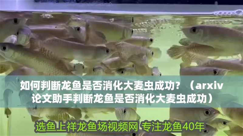 如何判斷龍魚是否消化大麥蟲成功？（arxiv論文助手判斷龍魚是否消化大麥蟲成功）