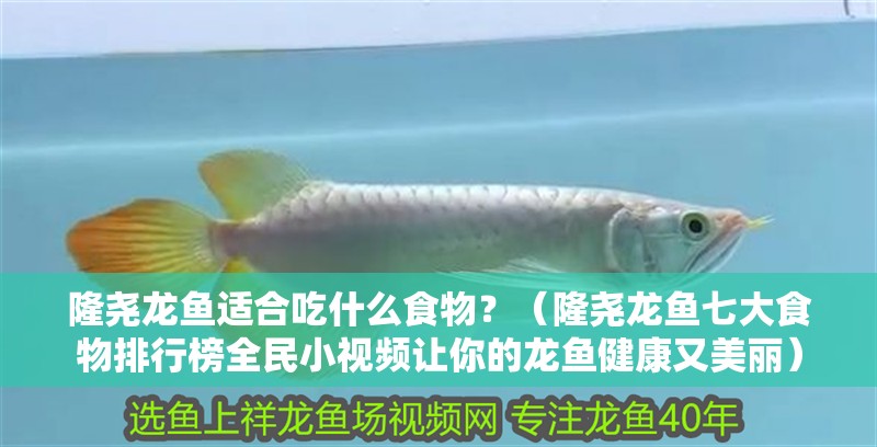 隆堯龍魚適合吃什么食物？（隆堯龍魚七大食物排行榜全民小視頻讓你的龍魚健康又美麗） 隆堯龍魚適合吃什么食物？（隆堯龍魚七大食物排行榜全民小視頻讓你的龍魚健康又美麗） 龍魚百科 第3張