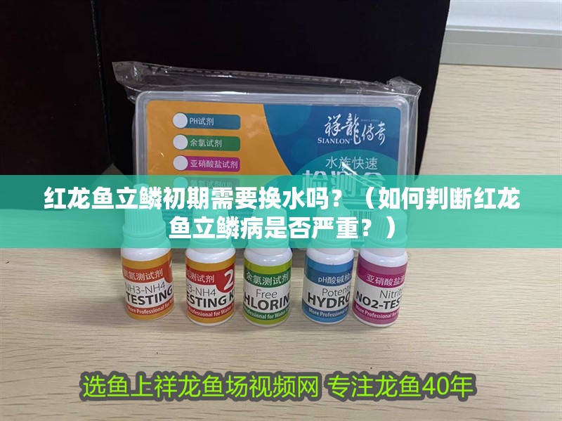 紅龍魚立鱗初期需要換水嗎？（如何判斷紅龍魚立鱗病是否嚴(yán)重？） 紅龍魚立鱗初期需要換水嗎？（如何判斷紅龍魚立鱗病是否嚴(yán)重？） 龍魚百科 第3張
