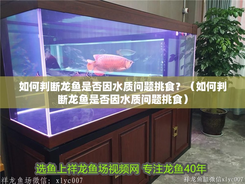 如何判斷龍魚是否因水質問題挑食？（如何判斷龍魚是否因水質問題挑食）