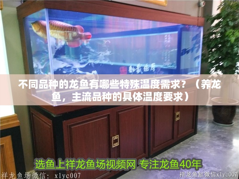 不同品種的龍魚有哪些特殊溫度需求？（養龍魚，主流品種的具體溫度要求）
