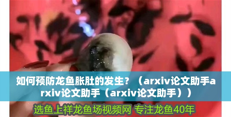 如何預防龍魚脹肚的發生？（arxiv論文助手arxiv論文助手（arxiv論文助手）） 如何預防龍魚脹肚的發生？（arxiv論文助手arxiv論文助手（arxiv論文助手）） 龍魚百科 第10張