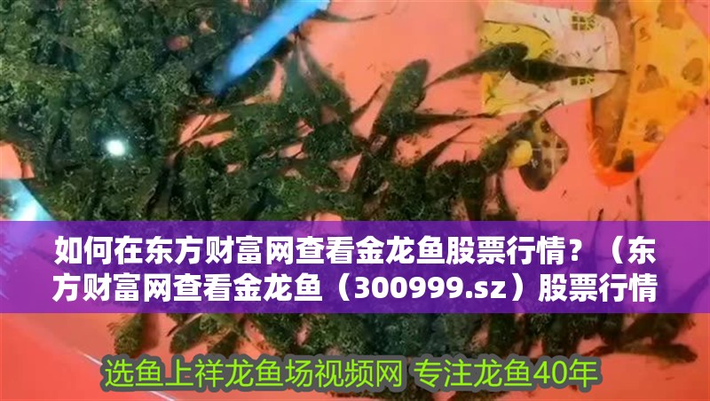 如何在東方財富網查看金龍魚股票行情？（東方財富網查看金龍魚（300999.sz）股票行情的操作流程）