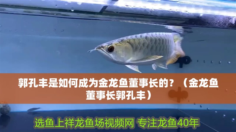 郭孔豐是如何成為金龍魚董事長的？（金龍魚董事長郭孔豐）