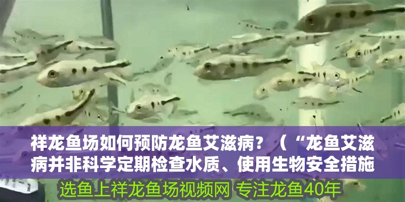 祥龍魚場如何預防龍魚艾滋病？（“龍魚艾滋病并非科學定期檢查水質、使用生物安全措施）