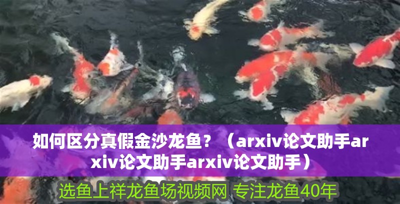 如何區(qū)分真假金沙龍魚？（arxiv論文助手arxiv論文助手arxiv論文助手）