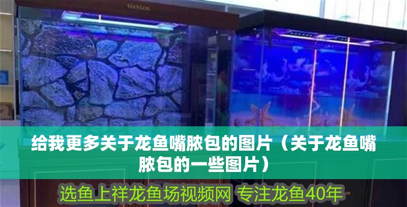 給我更多關于龍魚嘴膿包的圖片（關于龍魚嘴膿包的一些圖片）