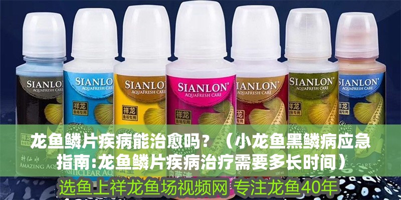 龍魚鱗片疾病能治愈嗎？（小龍魚黑鱗病應急指南:龍魚鱗片疾病治療需要多長時間）