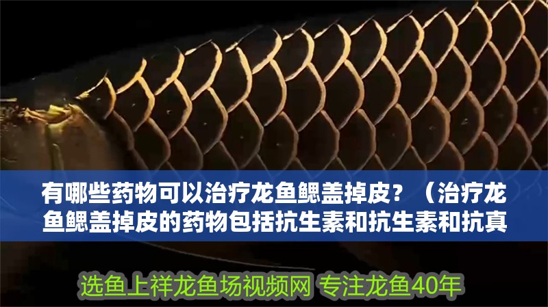 有哪些藥物可以治療龍魚鰓蓋掉皮？（治療龍魚鰓蓋掉皮的藥物包括抗生素和抗生素和抗真菌藥物）