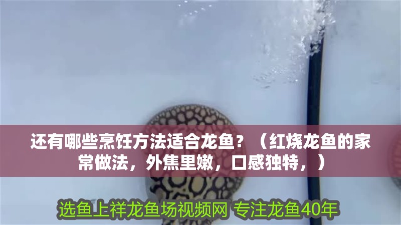 還有哪些烹飪方法適合龍魚？（紅燒龍魚的家常做法，外焦里嫩，口感獨特，）