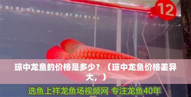 瓊中龍魚的價格是多少？（瓊中龍魚價格差異大，） 瓊中龍魚的價格是多少？（瓊中龍魚價格差異大，） 龍魚百科 第6張