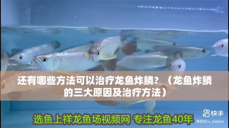還有哪些方法可以治療龍魚炸鱗？（龍魚炸鱗的三大原因及治療方法）