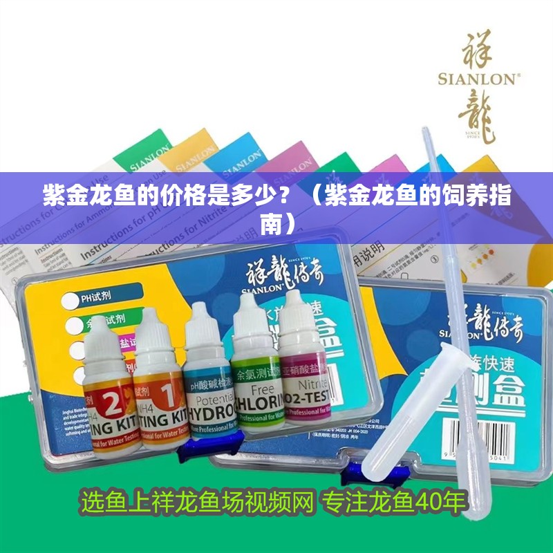 紫金龍魚的價格是多少？（紫金龍魚的飼養指南）