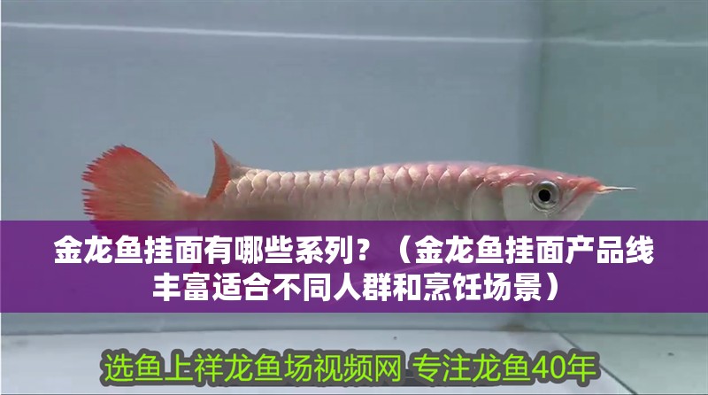 金龍魚掛面有哪些系列？（金龍魚掛面產品線豐富適合不同人群和烹飪場景）