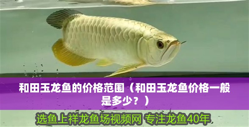 和田玉龍魚的價格范圍（和田玉龍魚價格一般是多少？）