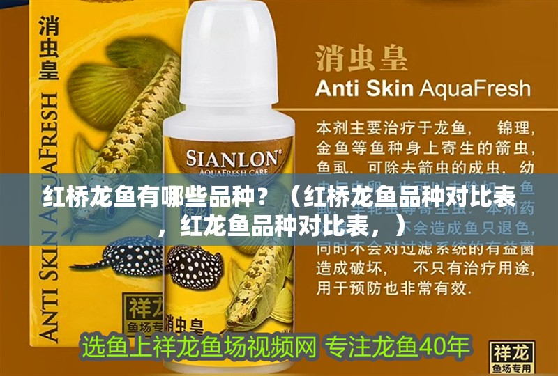 紅橋龍魚(yú)有哪些品種？（紅橋龍魚(yú)品種對(duì)比表，紅龍魚(yú)品種對(duì)比表，）