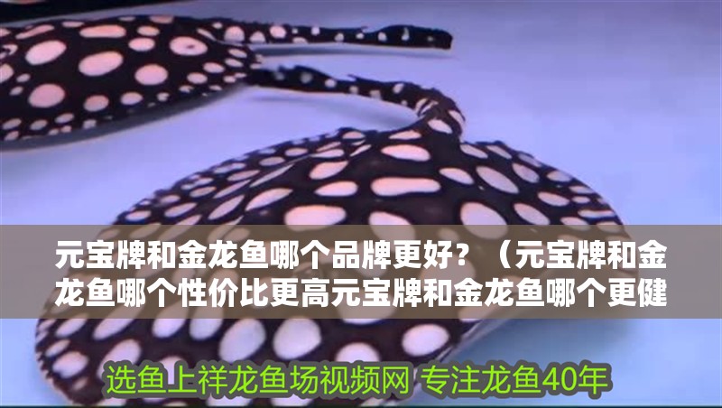 元寶牌和金龍魚哪個品牌更好？（元寶牌和金龍魚哪個性價比更高元寶牌和金龍魚哪個更健康）