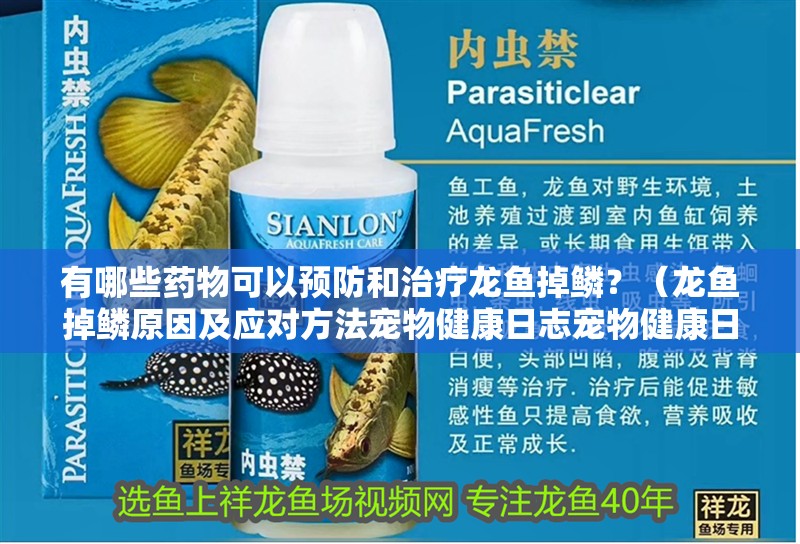 有哪些藥物可以預(yù)防和治療龍魚掉鱗？（龍魚掉鱗原因及應(yīng)對方法寵物健康日志寵物健康日志）