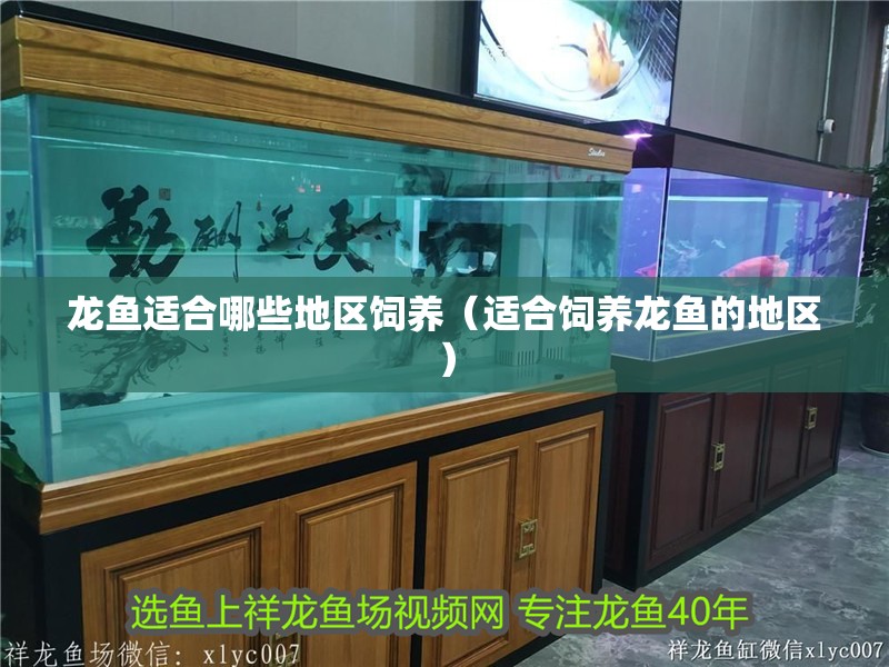 龍魚適合哪些地區飼養（適合飼養龍魚的地區）