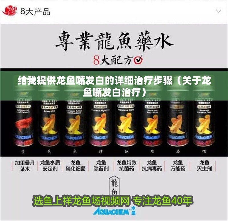 給我提供龍魚嘴發白的詳細治療步驟（關于龍魚嘴發白治療）