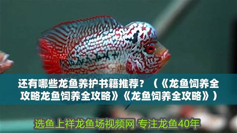 還有哪些龍魚養(yǎng)護書籍推薦？（《龍魚飼養(yǎng)全攻略龍魚飼養(yǎng)全攻略》《龍魚飼養(yǎng)全攻略》）