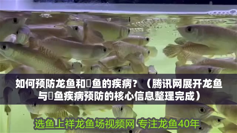如何預防龍魚和魟魚的疾病？（騰訊網展開龍魚與魟魚疾病預防的核心信息整理完成）