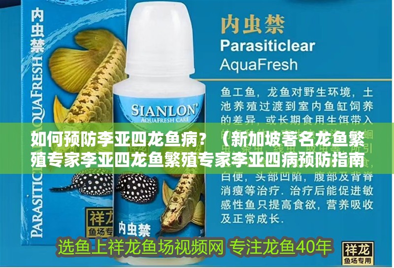 如何預防李亞四龍魚病？（新加坡著名龍魚繁殖專家李亞四龍魚繁殖專家李亞四病預防指南） 如何預防李亞四龍魚病？（新加坡著名龍魚繁殖專家李亞四龍魚繁殖專家李亞四病預防指南） 龍魚百科 第6張