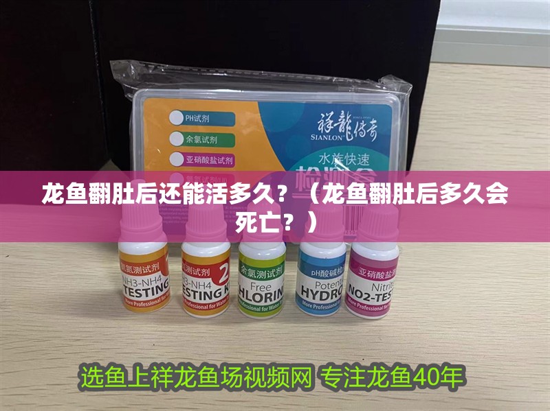 龍魚翻肚后還能活多久？（龍魚翻肚后多久會死亡？） 龍魚翻肚后還能活多久？（龍魚翻肚后多久會死亡？） 龍魚百科 第3張