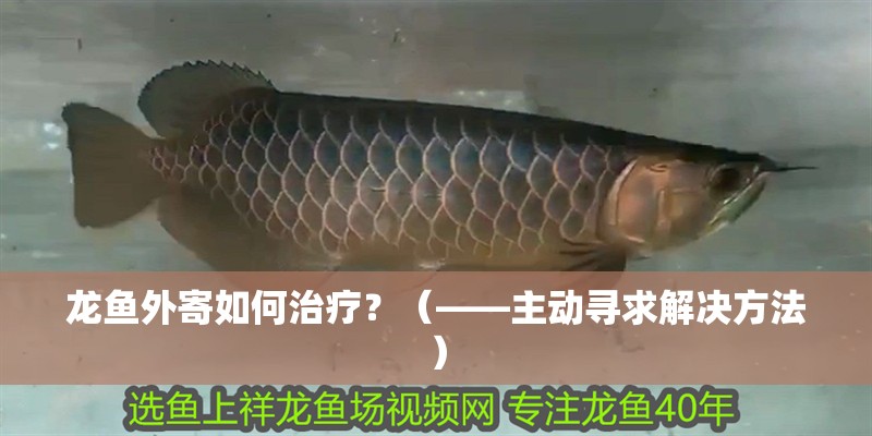 龍魚外寄如何治療？（——主動尋求解決方法）