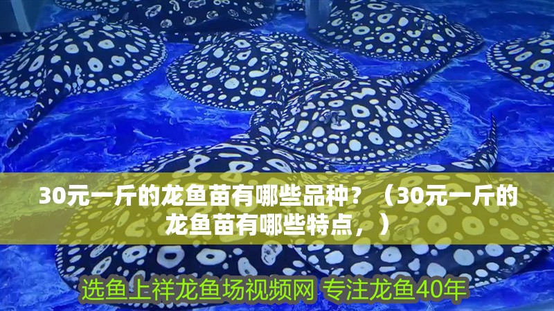 30元一斤的龍魚苗有哪些品種？（30元一斤的龍魚苗有哪些特點，）