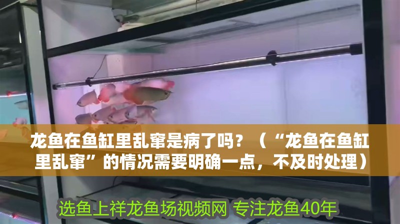 龍魚在魚缸里亂竄是病了嗎？（“龍魚在魚缸里亂竄”的情況需要明確一點，不及時處理）