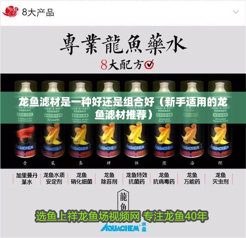 龍魚濾材是一種好還是組合好（新手適用的龍魚濾材推薦） 龍魚濾材是一種好還是組合好（新手適用的龍魚濾材推薦） 龍魚百科 第2張