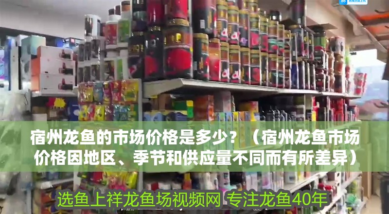 <strong><mark>宿州</mark></strong>龍魚的市場價格是多少？（<strong><mark>宿州</mark></strong>龍魚市場價格因地區、季節和供應量不同而有所差異）