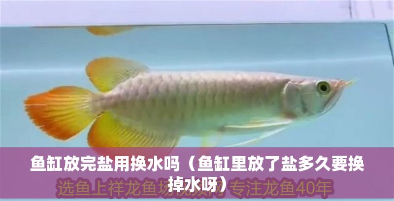 魚(yú)缸放完鹽用換水嗎（魚(yú)缸里放了鹽多久要換掉水呀）