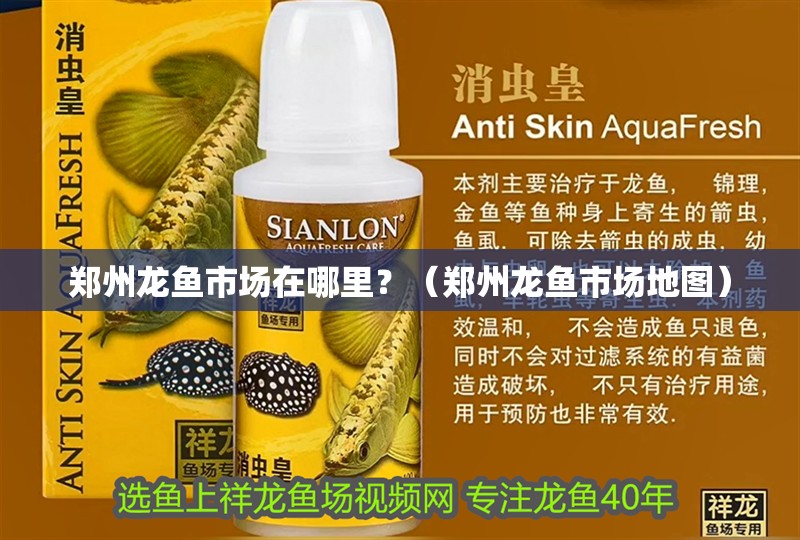 鄭州龍魚市場在哪里？（鄭州龍魚市場地圖）