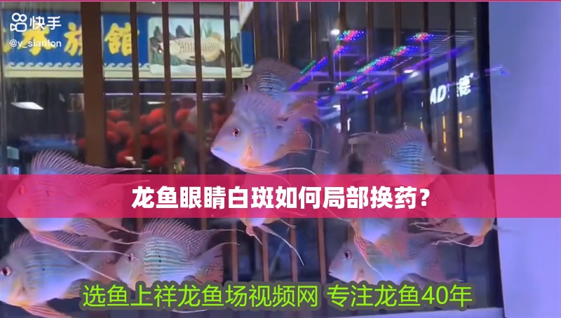 龍魚眼睛白斑如何局部換藥？
