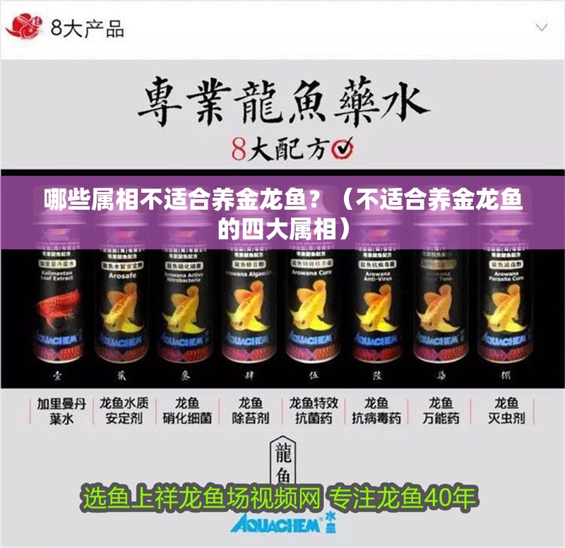 哪些屬相不適合養(yǎng)金龍魚？（不適合養(yǎng)金龍魚的四大屬相）