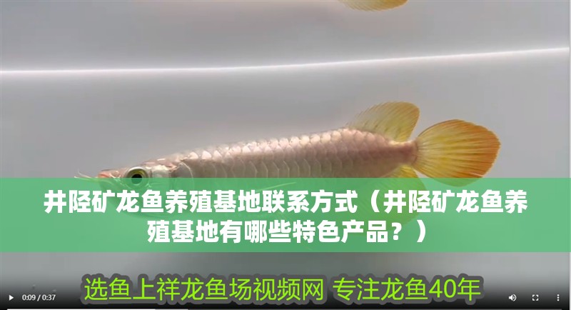 井陘礦龍魚養殖基地聯系方式（井陘礦龍魚養殖基地有哪些特色產品？）