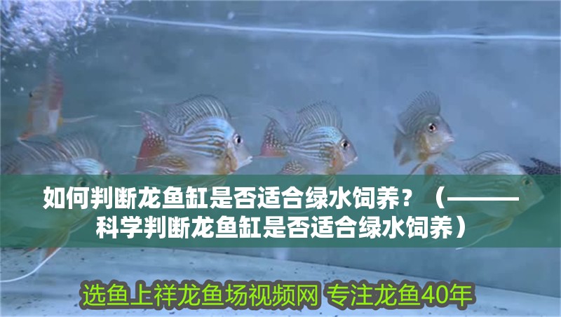 如何判斷龍魚缸是否適合綠水飼養？（———科學判斷龍魚缸是否適合綠水飼養）