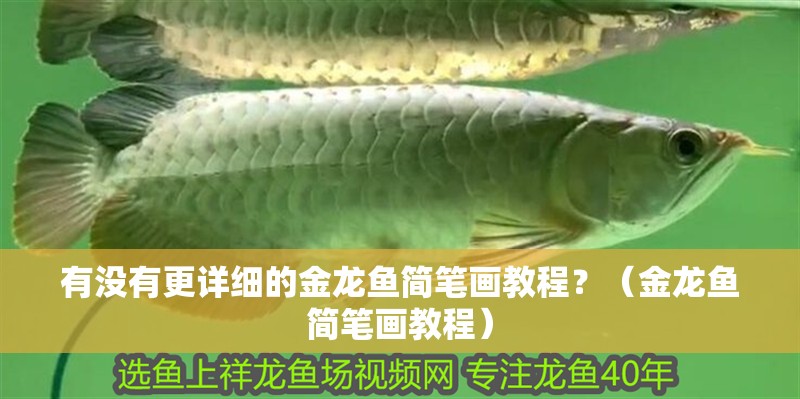 有沒有更詳細的金龍魚簡筆畫教程？（金龍魚簡筆畫教程）