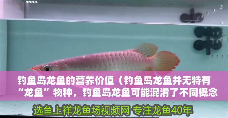 釣魚島龍魚的營養價值（釣魚島龍魚并無特有“龍魚”物種，釣魚島龍魚可能混淆了不同概念）